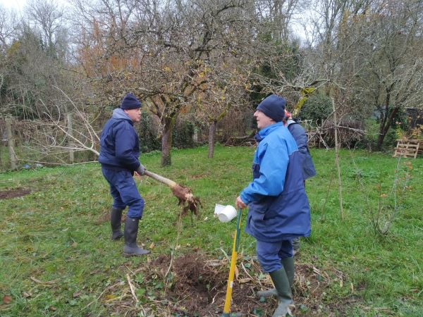 HULK deplace les arbres à lui seul IMG 20241205 WA0001
