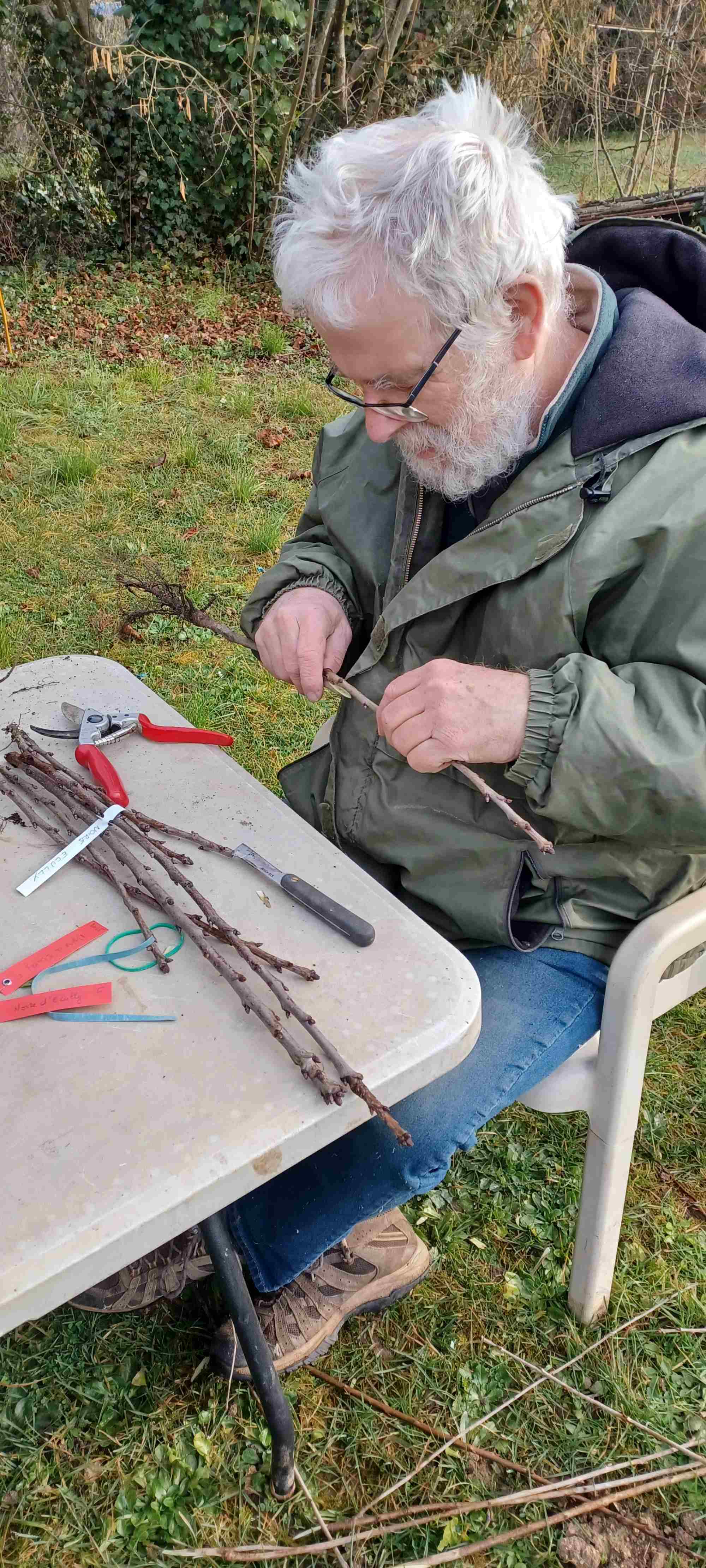 Ajustement porte greffe et greffon