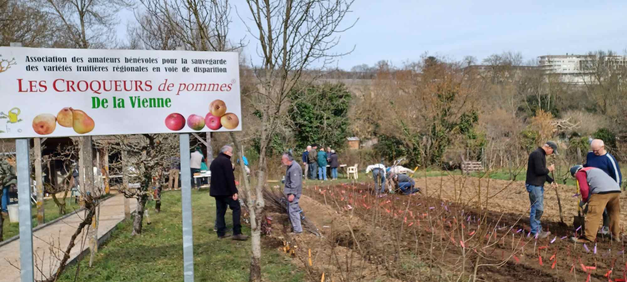 Jardin des Croqueurs 86 sur fond de Blossac