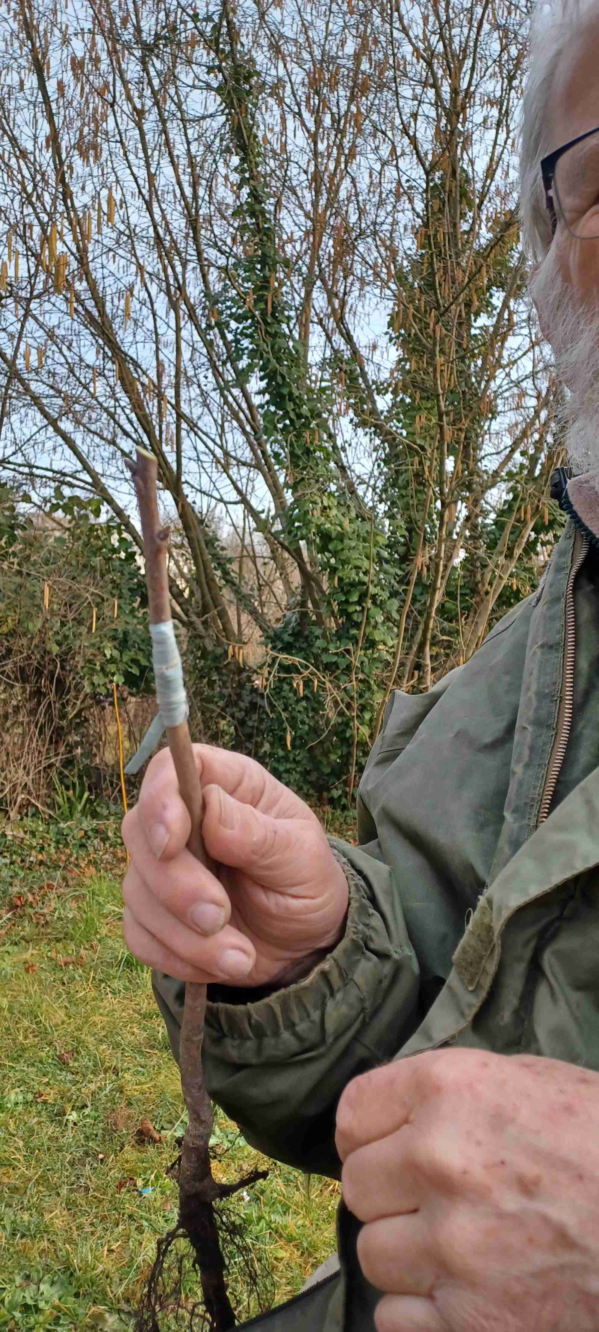 Light Lien étanche greffon porte greffe