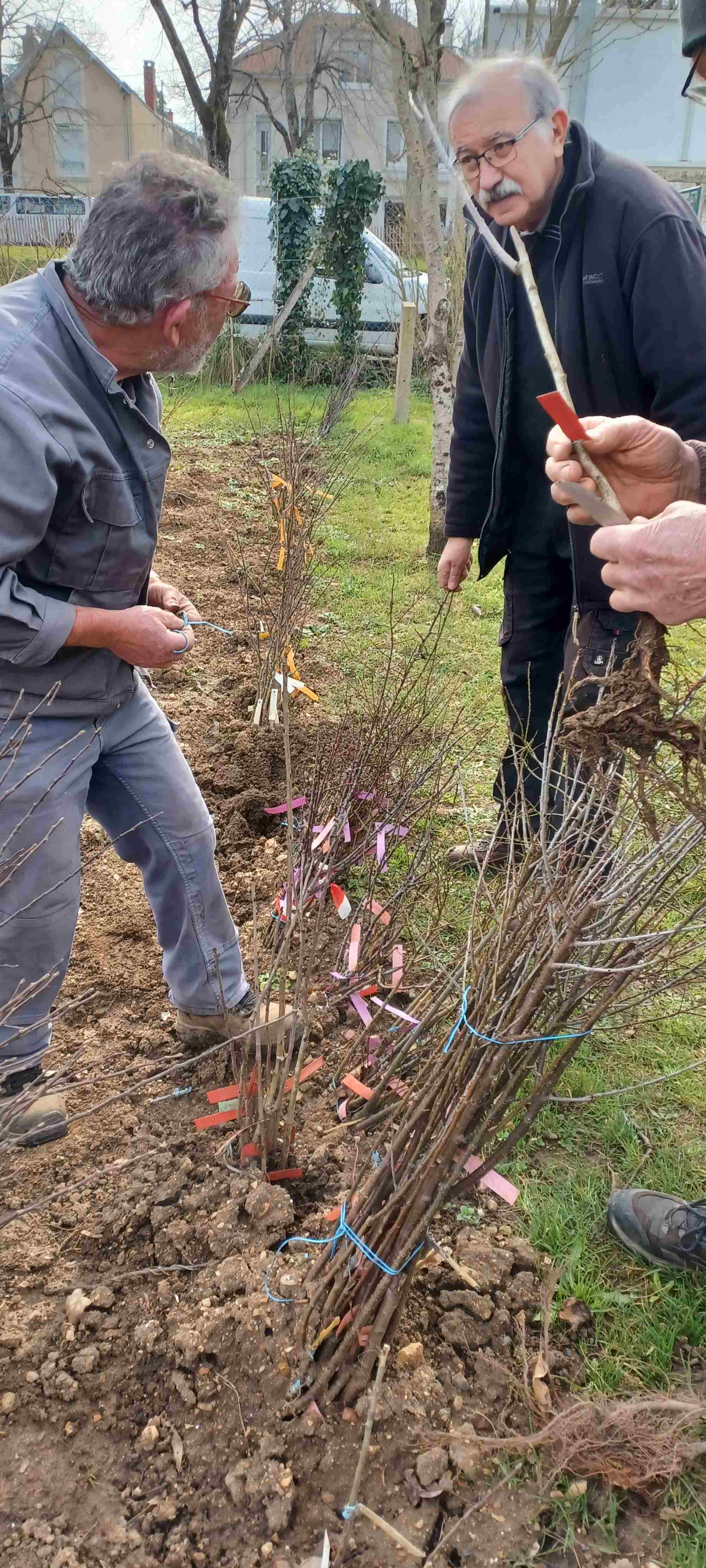 QUEST CE QUELLE A MA GUEULE