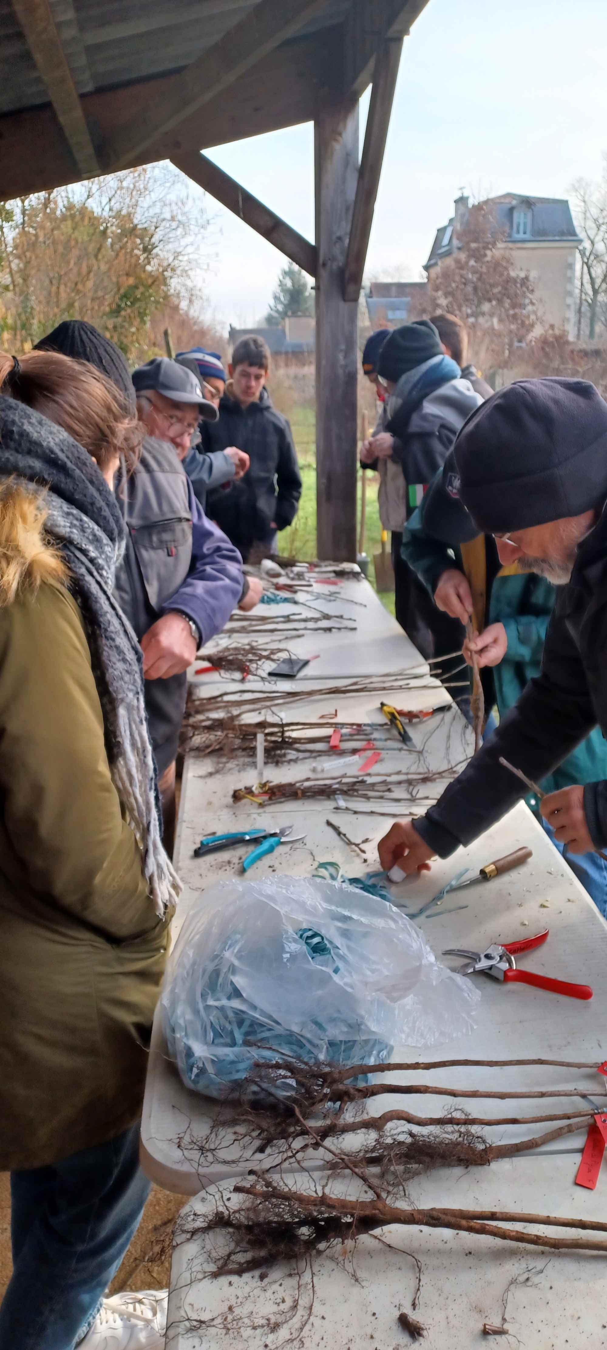 Tables de greffe des Croqueurs de Pommes