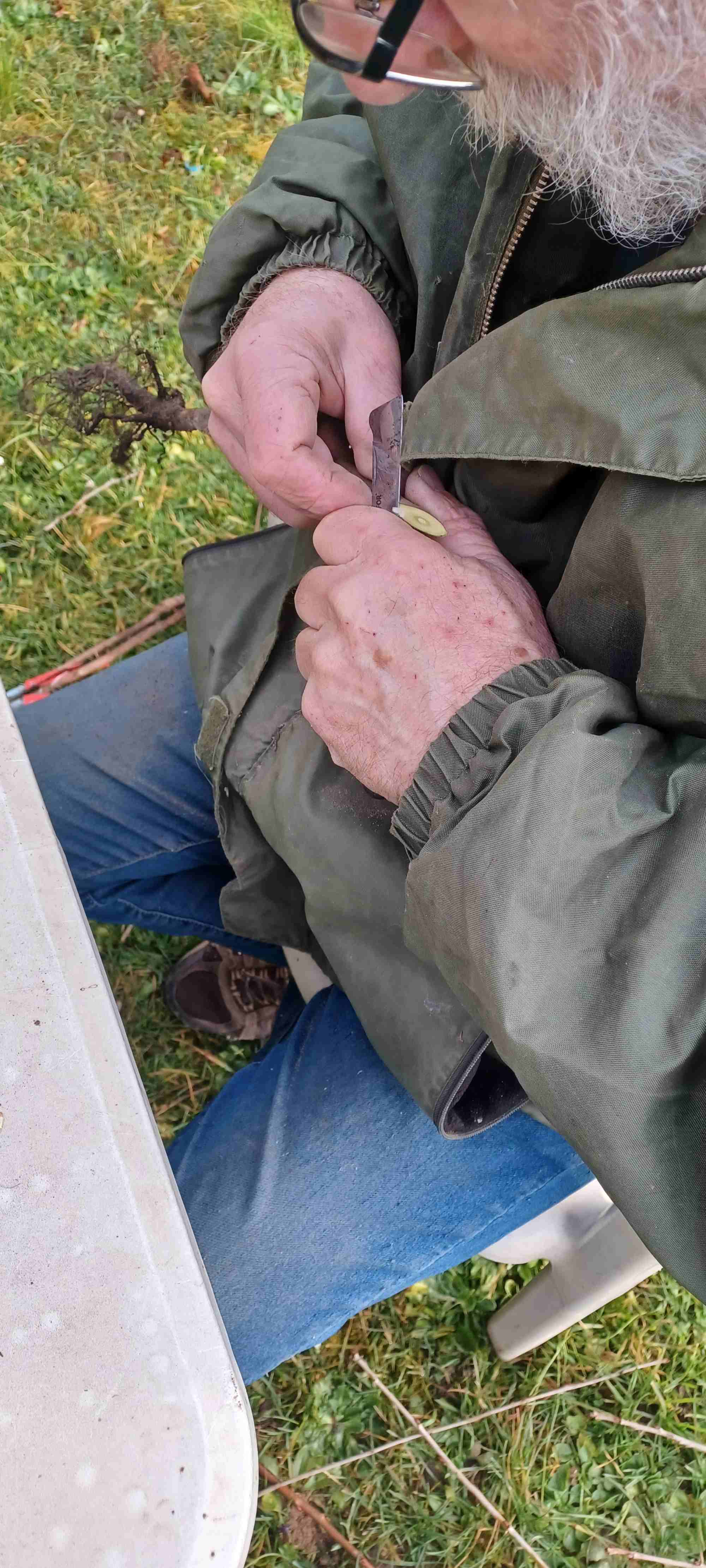 Taille du porte greffe