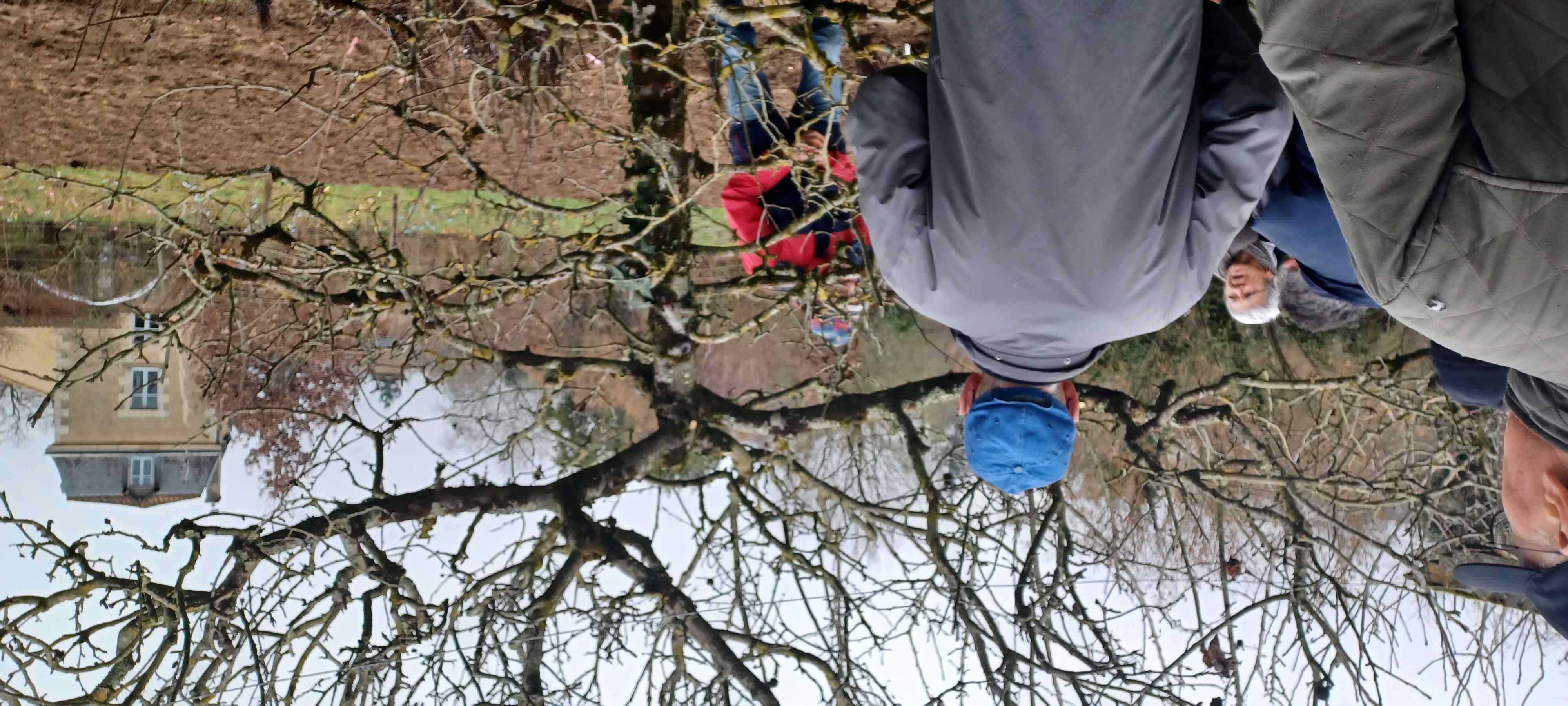 ARBRE AVANT la Taille dentetien 154121