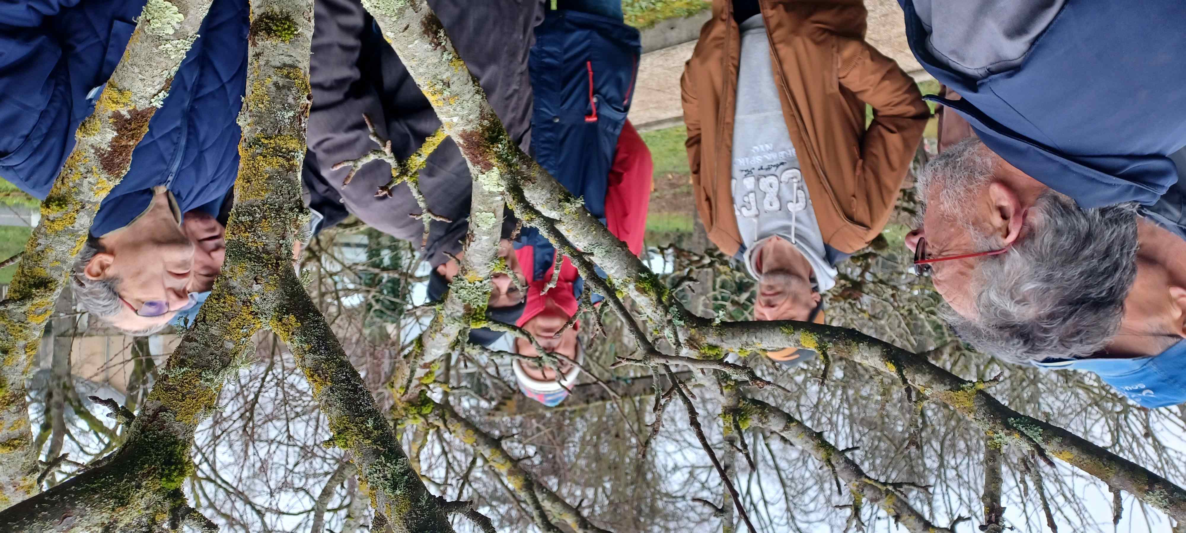 Brief avant la Taille 145626