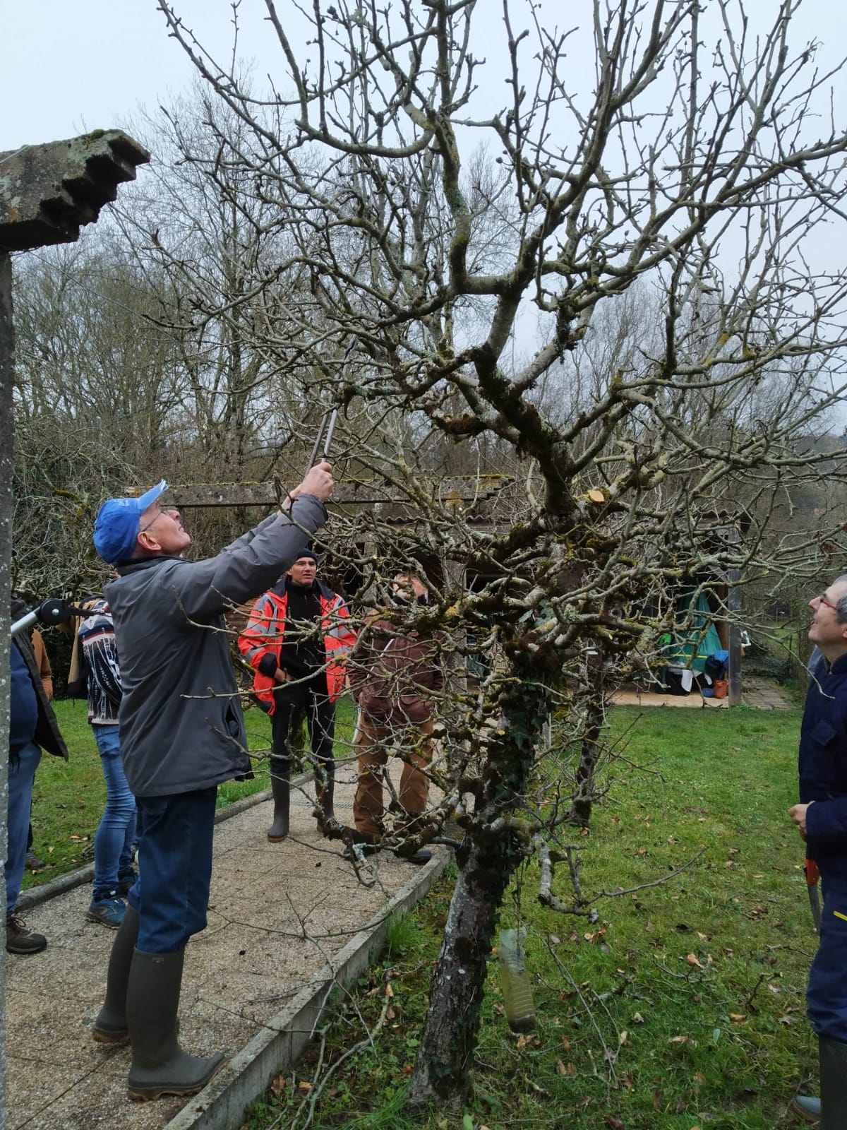 Joël Delormes démarre la taille dENTRETIEN IMG WA0004