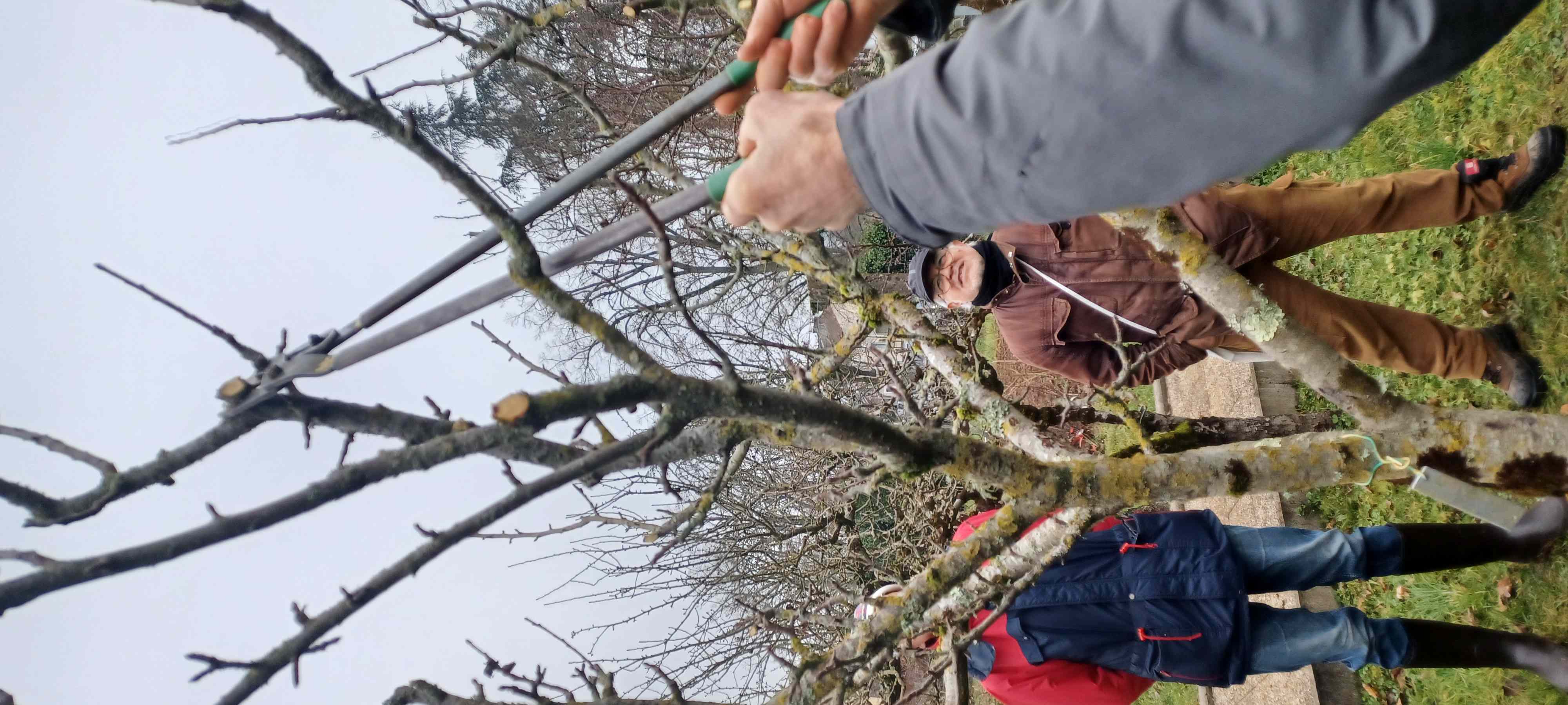 Taille dentretien sur Gobelet 152543