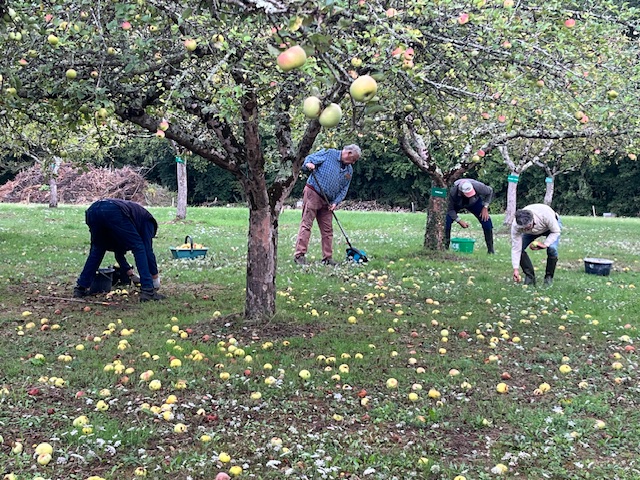 récolte des fruits tombés LABUSSIERE