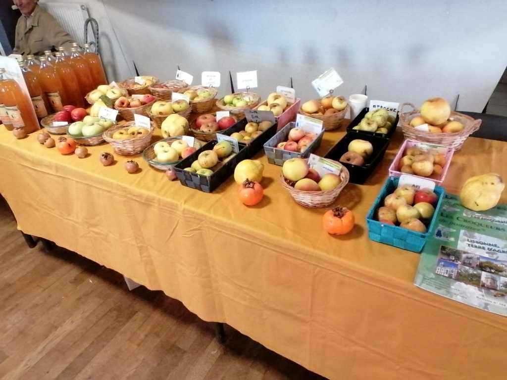 Light Vente du jus de pomme et prez des variétés de pommes QUEAUX le 2025 11 11