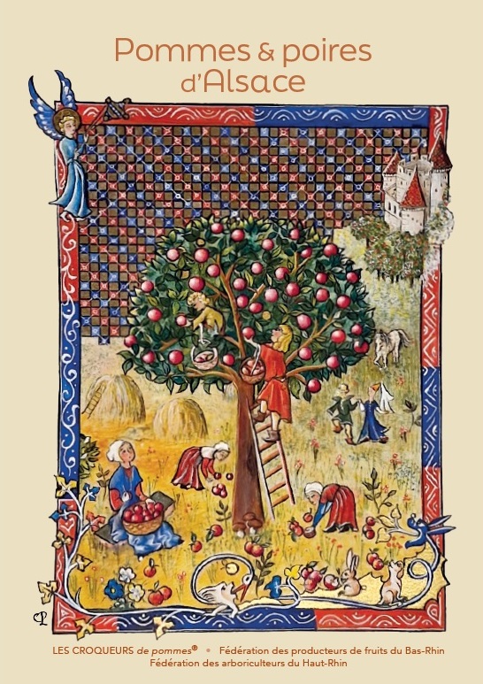 pomme et poire dalsace 2