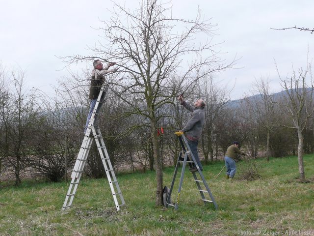 J PZ Steinkreuz 201603 5