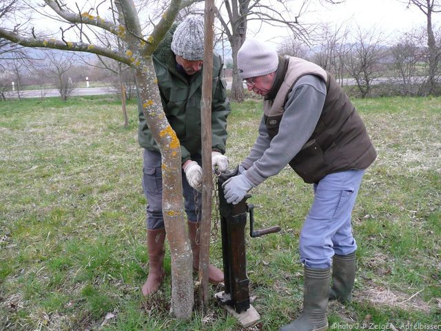 J PZ Steinkreuz 201603 15