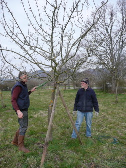 J PZ taille 20160321 P1140384