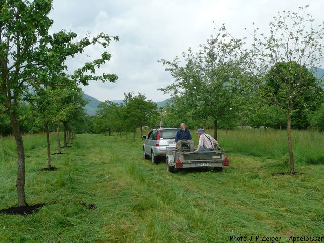J PZ verger 20160517 P1140529