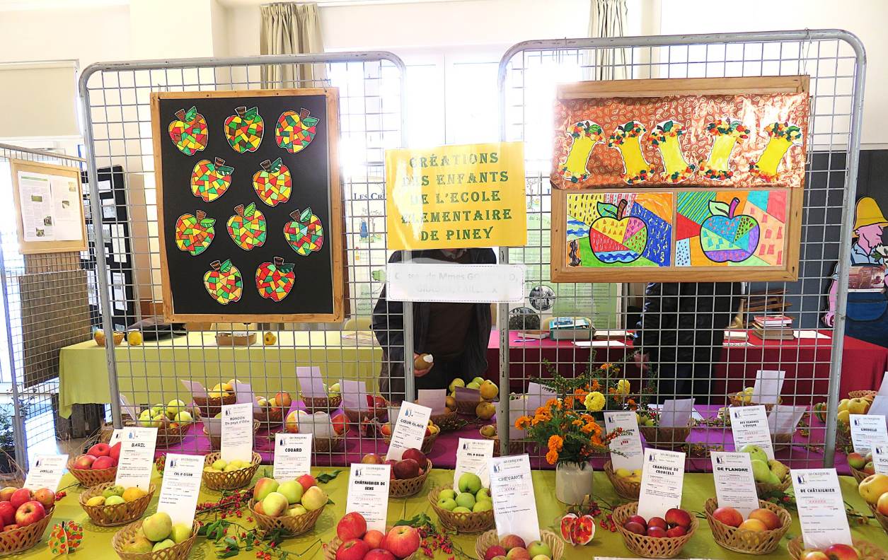 Capture décran 2025 11 07 103708