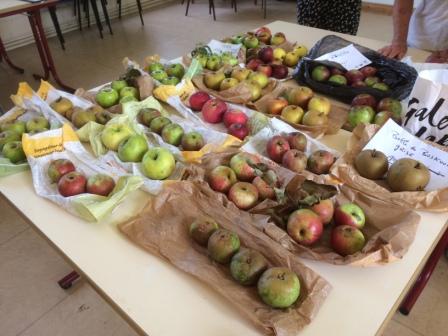 2021 Fruits pour expo