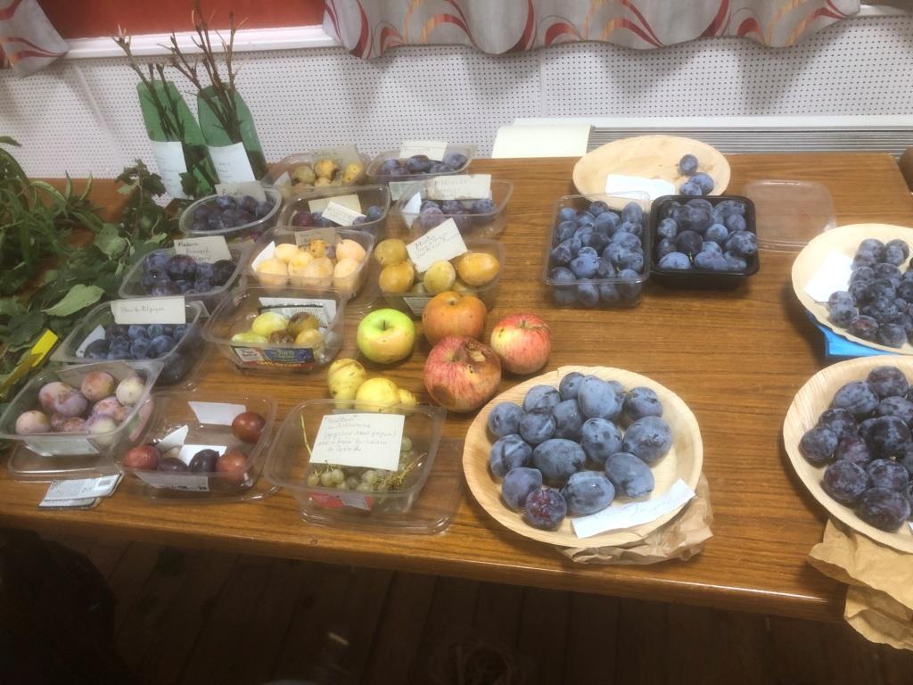 2025 mensuelle aout fruits