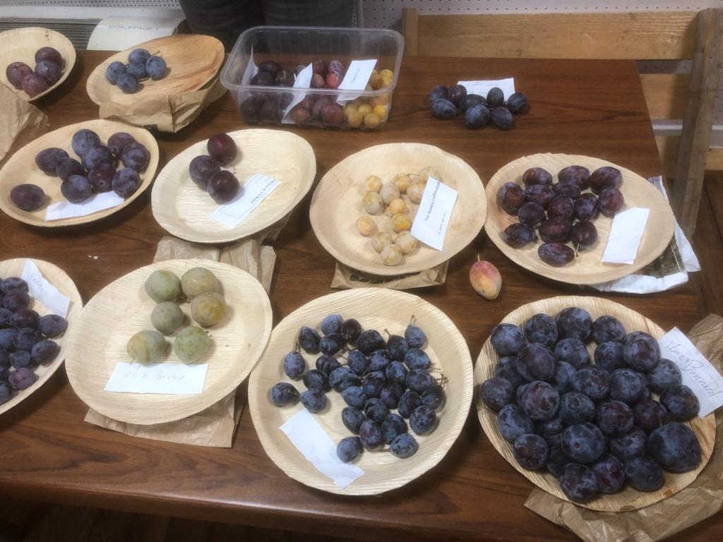 2025 mensuelle aout prunes