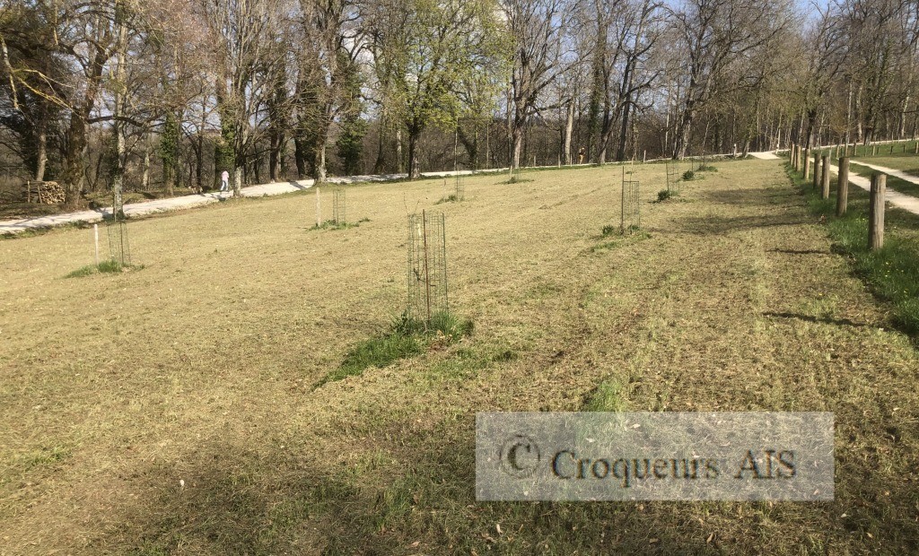 Le parking haute tige