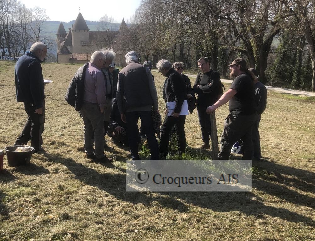 Suppression des rejets et nettoyage du pied