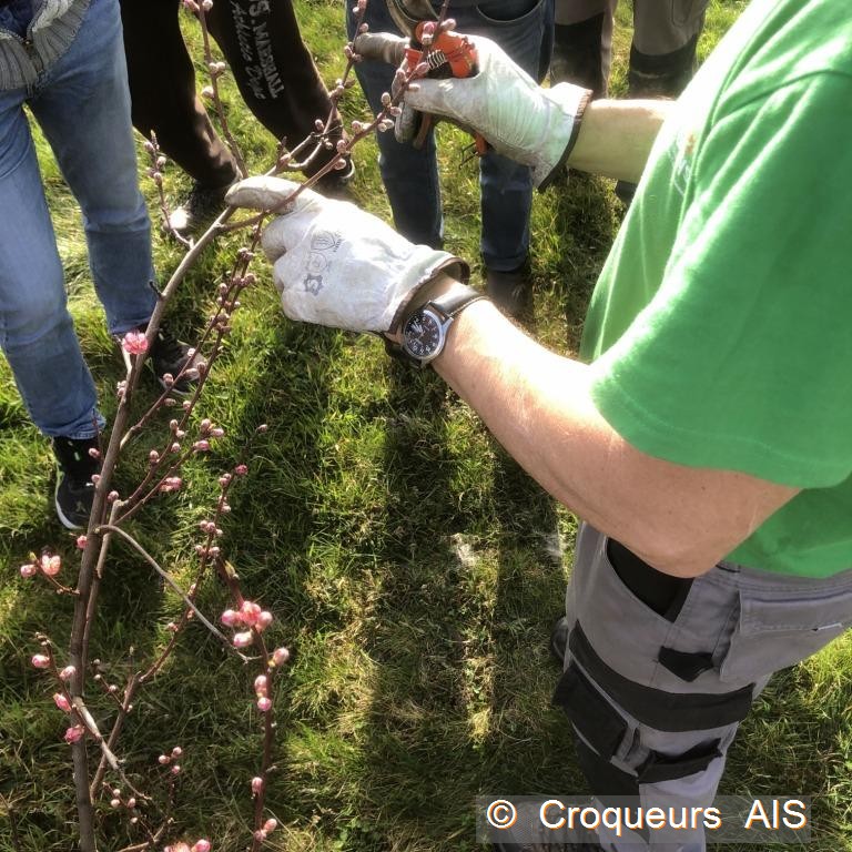 Explications pour le pêcher c2i