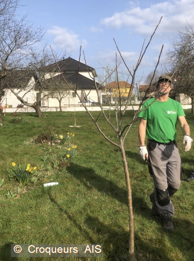On y voit déjà plus clair c2i