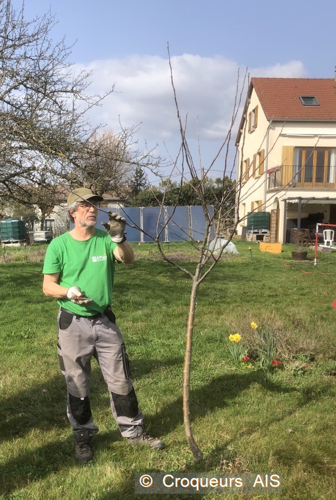 Premier coup de sécateur IMG 3588 c2i