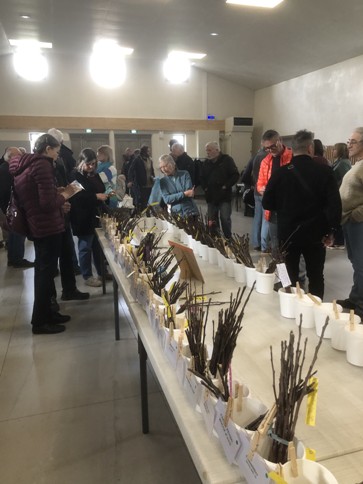 Choix des greffons 1