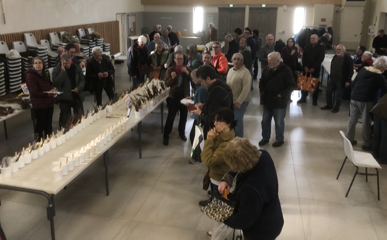 Choix des greffons 2