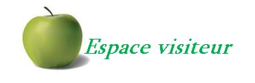 Espace visiteur 1