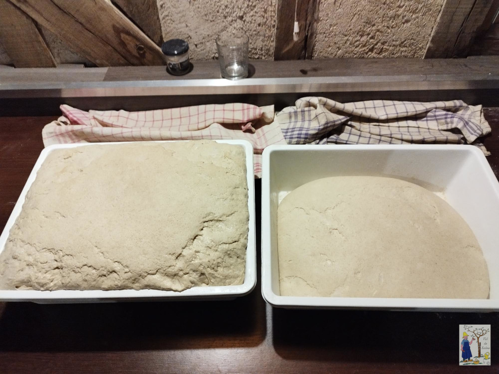 Levain