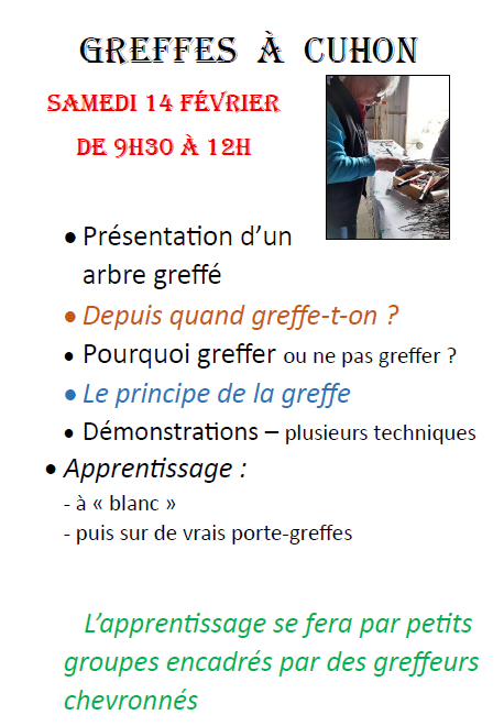 Animation_Greffes_CUHON.jpeg