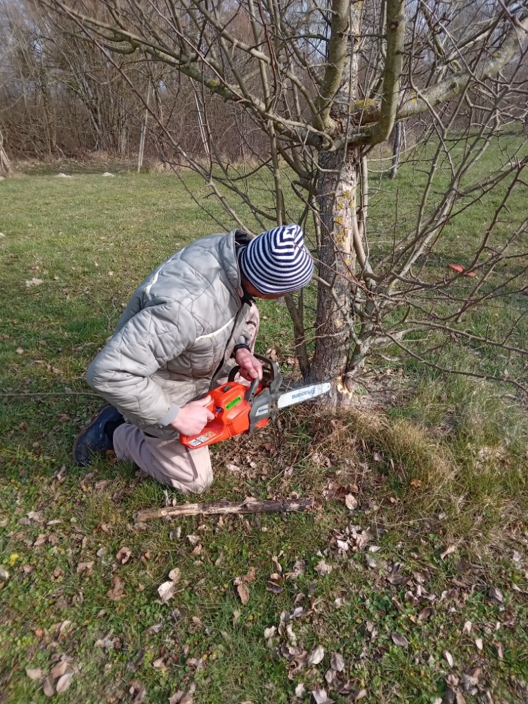 Bos Tronconneuse 04032023